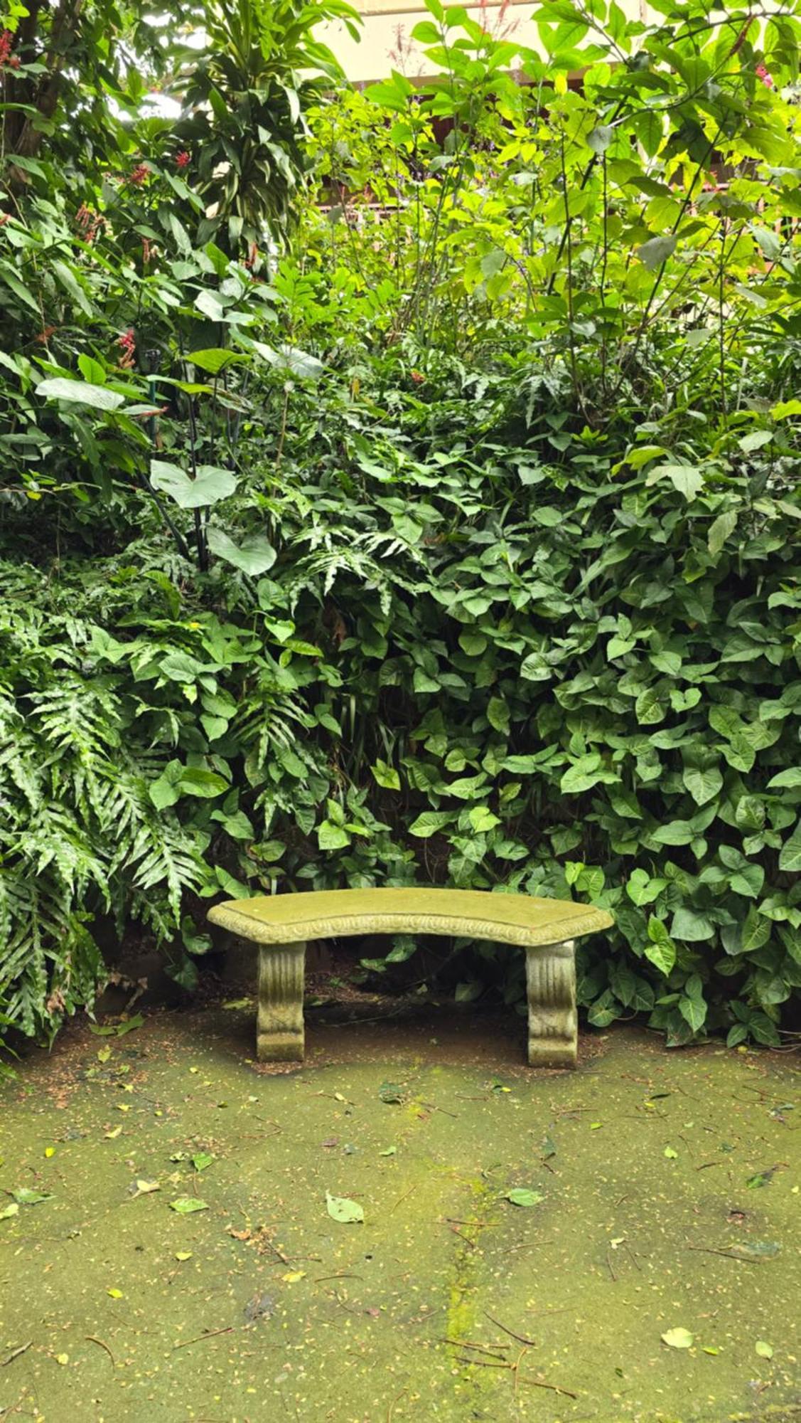 Honeywood Forest Lodge Port Shepstone Exteriör bild