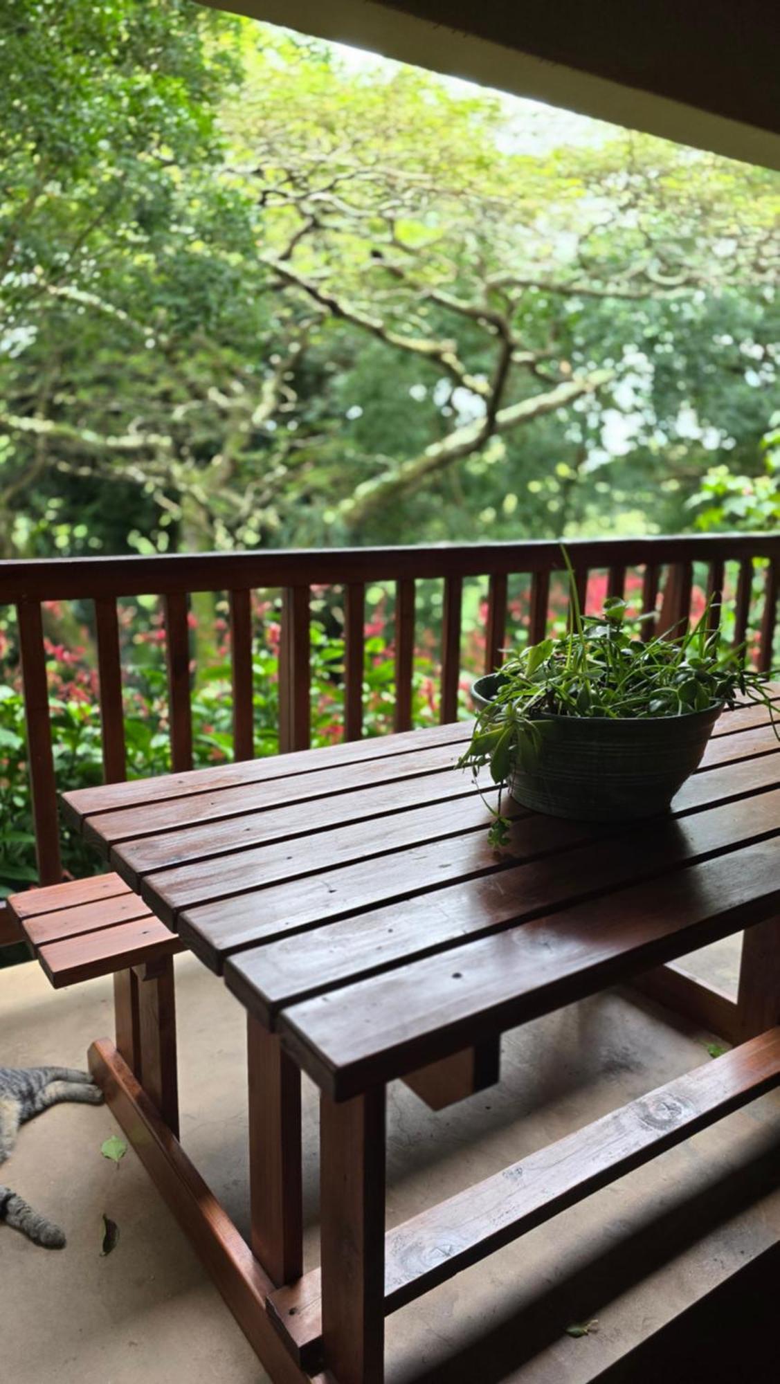 Honeywood Forest Lodge Port Shepstone Exteriör bild